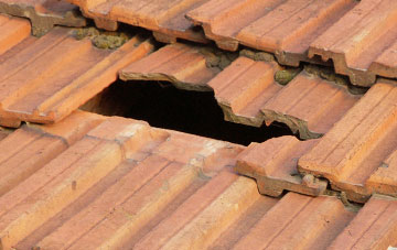 roof repair Cefn Canol, Powys